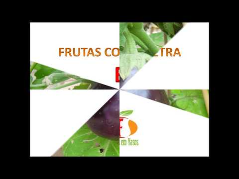 FRUTAS COM A LETRA E