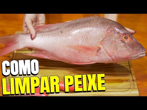 COMO LIMPAR E TRATAR PEIXE EM CASA | Limpeza simples e rápida