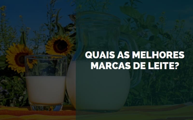 melhores marcas de leite