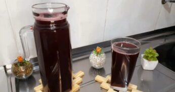 Como Fazer Suco de Jabuticaba SEM AMARGAR em Passos Simples