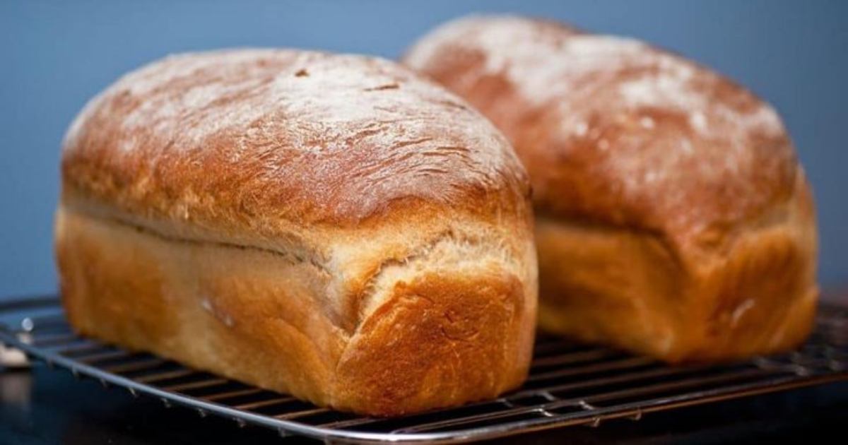 Faça o Melhor Pão de Forma Caseiro na Sua Cozinha