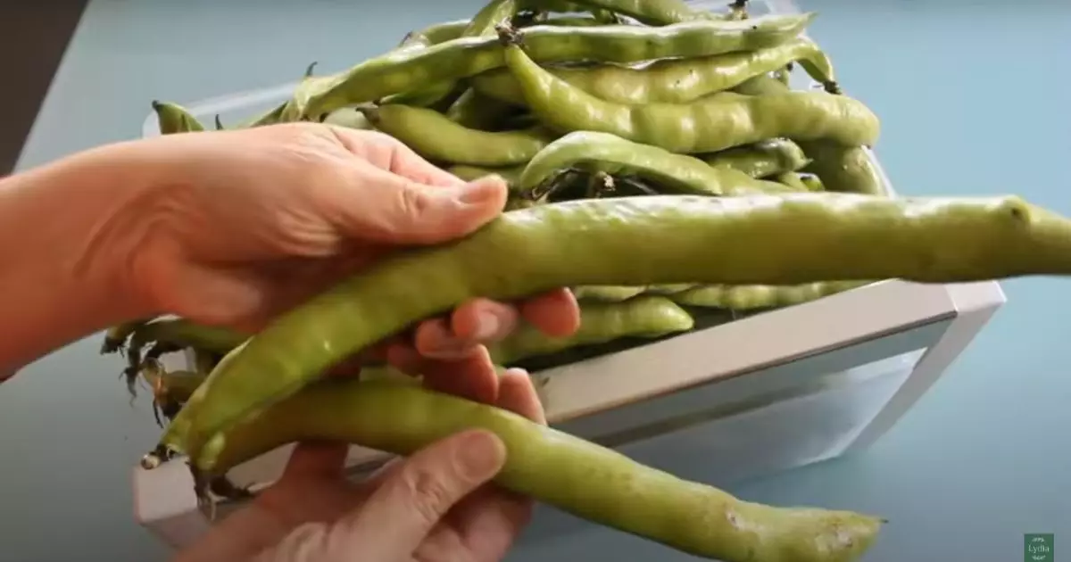 Favas Com Entrecostos Receita Tradicional Portuguesa