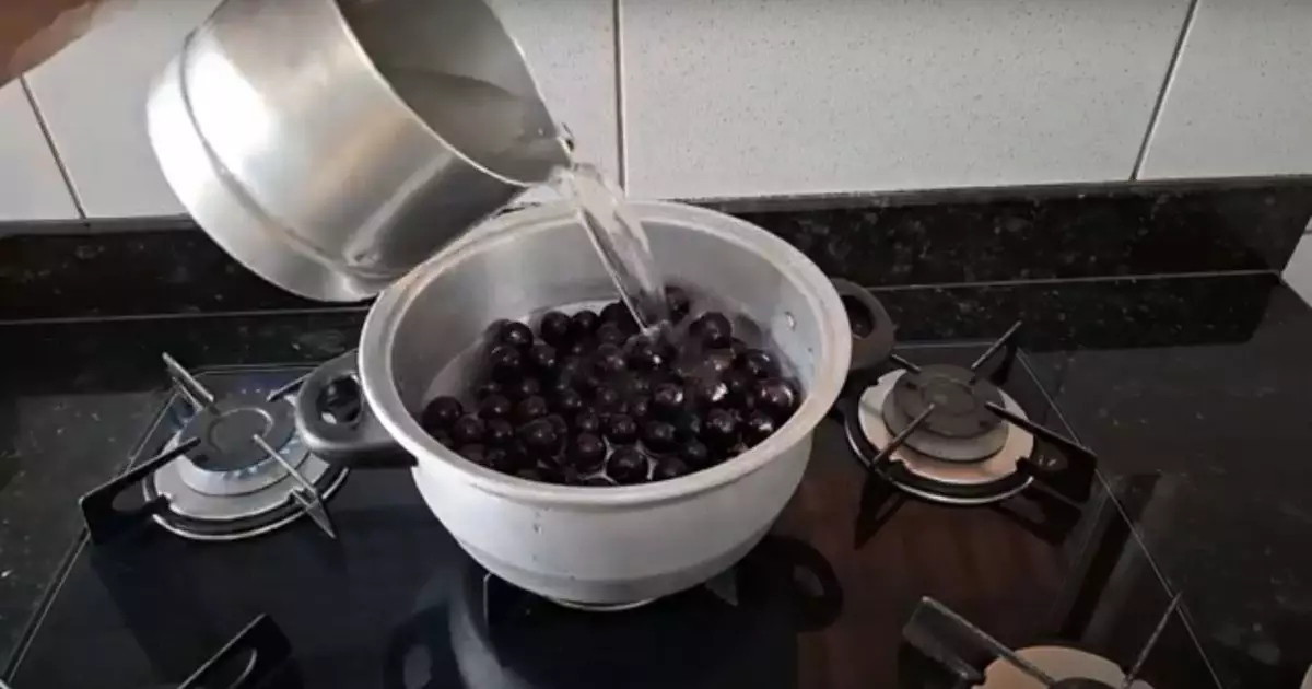 Geleia de jabuticaba