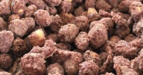 O Segredo do Amendoim Crocante Perfeito: Só 3 Ingredientes!