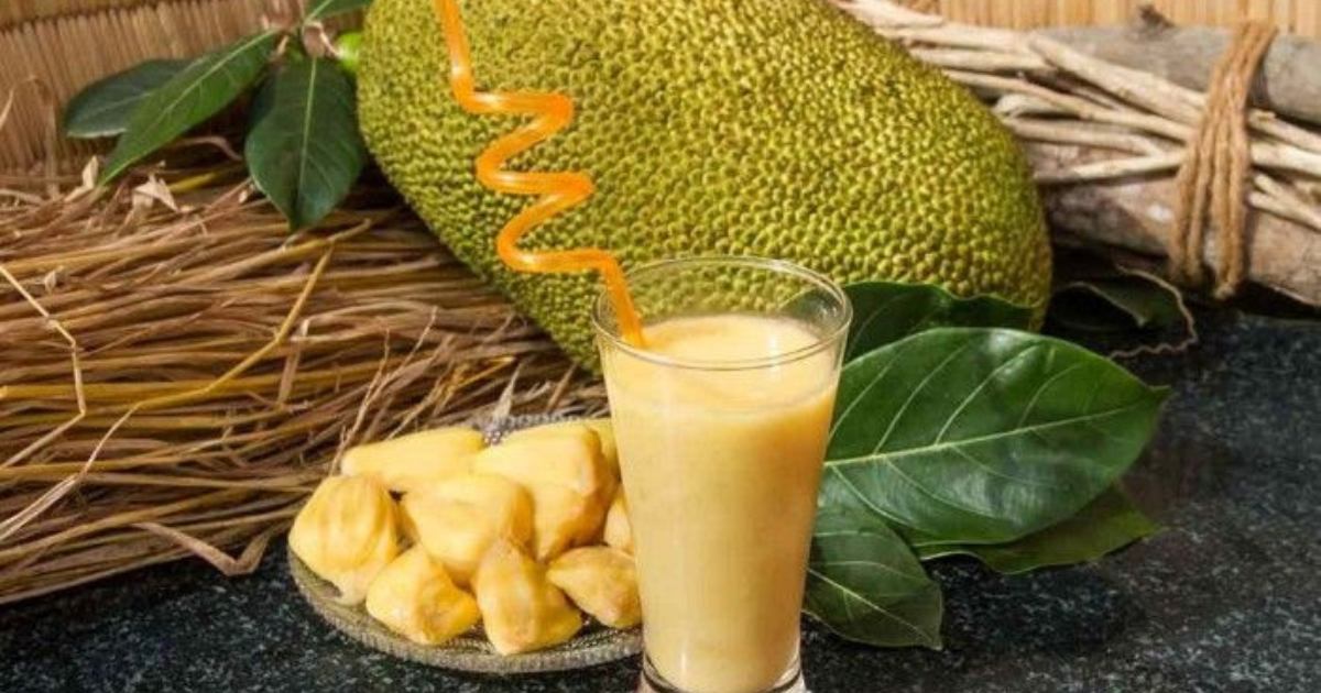 Suco de Jaca: Aprenda a Fazer Essa Bebida Cremosa e Saborosa